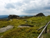 DSC08435.jpg