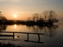 Steinhuder Meer (Nov. 08)